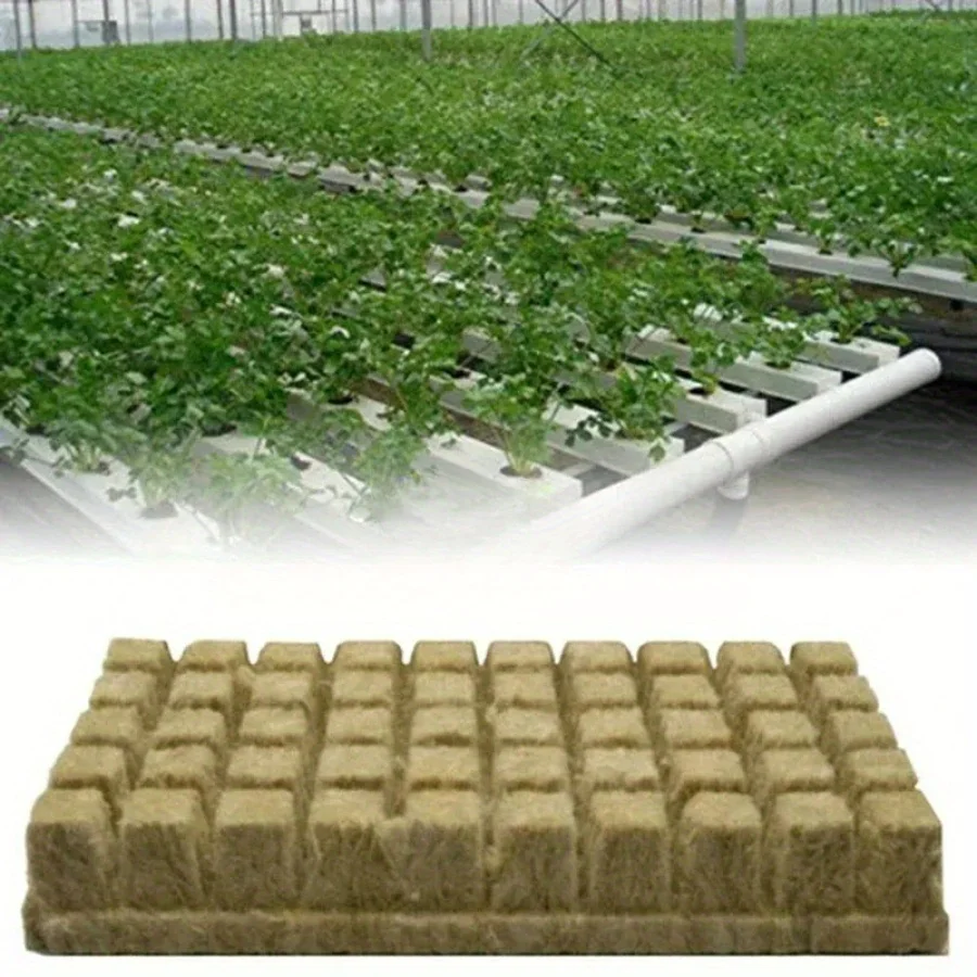 50 Uds. De cubos de medios de cultivo hidropónico de lana de piedra, cubos de plantas, sustrato sin suelo, tapón de lana de roca semilla, bloque de plántulas