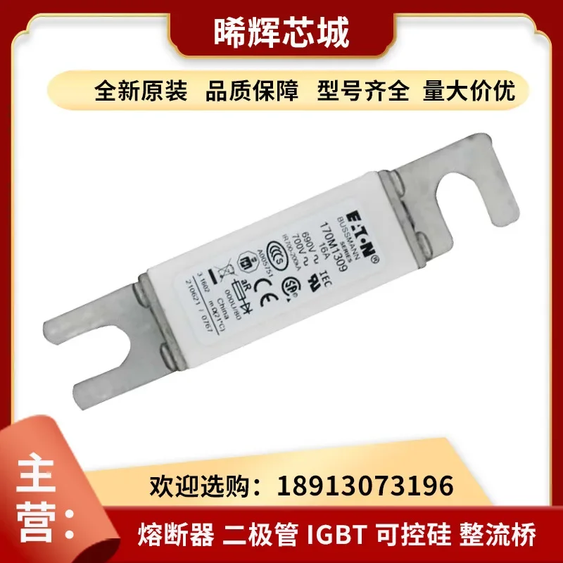 170M1421 170m1422 170M1423 Standard Package Low-voltage Fast Fuse.