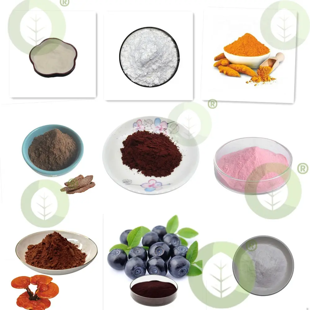 50g-1000g 99% hyaluronic ACID Szérum Hajpor ha, Magas molecular Súly Nátrium, hidratáló whitening Bőr, anti-aging, szabadon szállítás