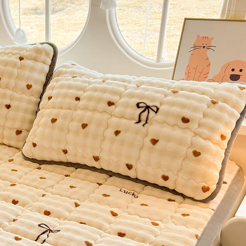 2pcs Warm Velvet Pillow Cover Skin-friendly Pillowslip Home Quilted Pillow Case 48x74cm Pillowsham Thick 베개커버 home decor items