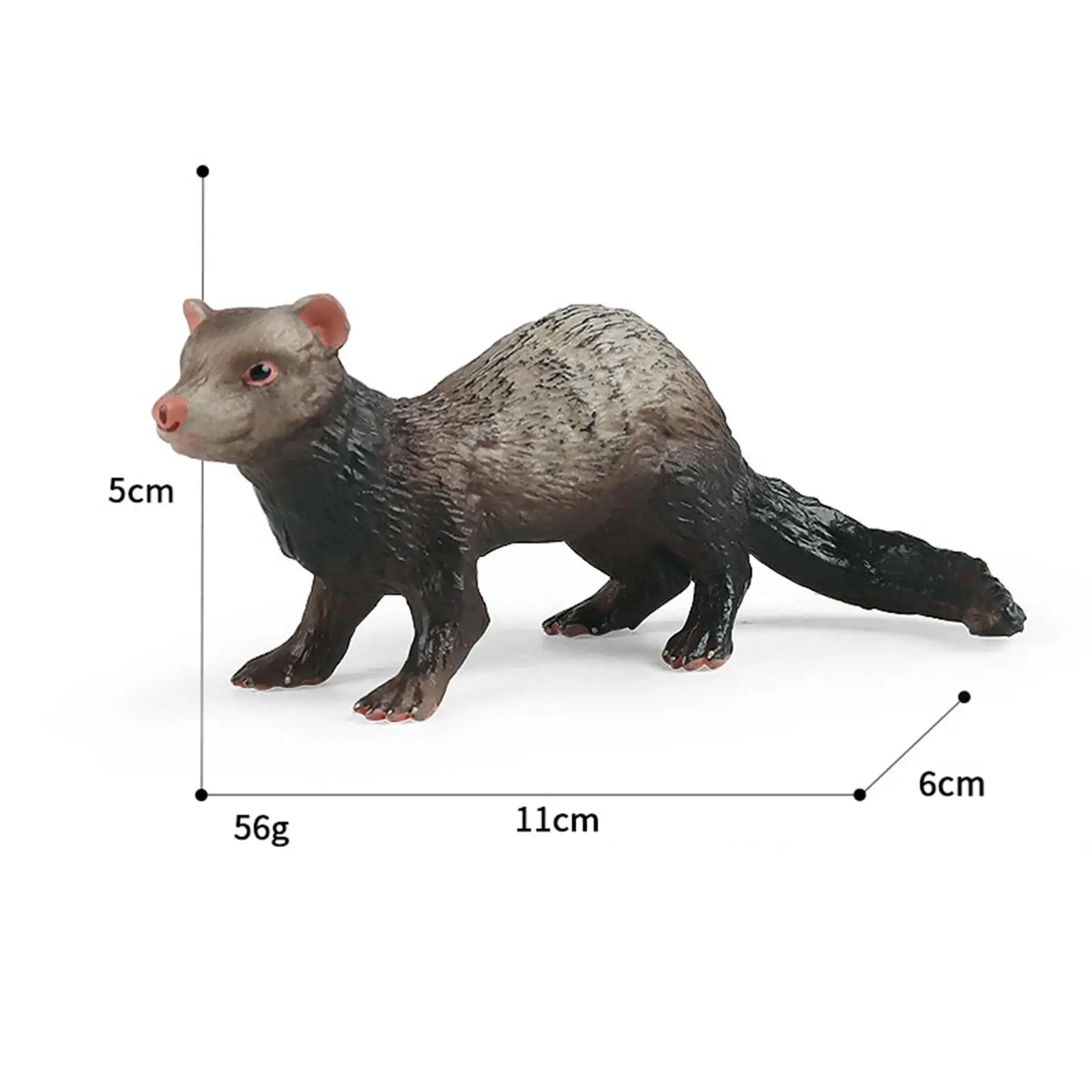 Figurines de simulation de furet d'Auckland, modèle animal, jouet d'apprentissage, ensemble de jeu créatif, cadeaux d'anniversaire