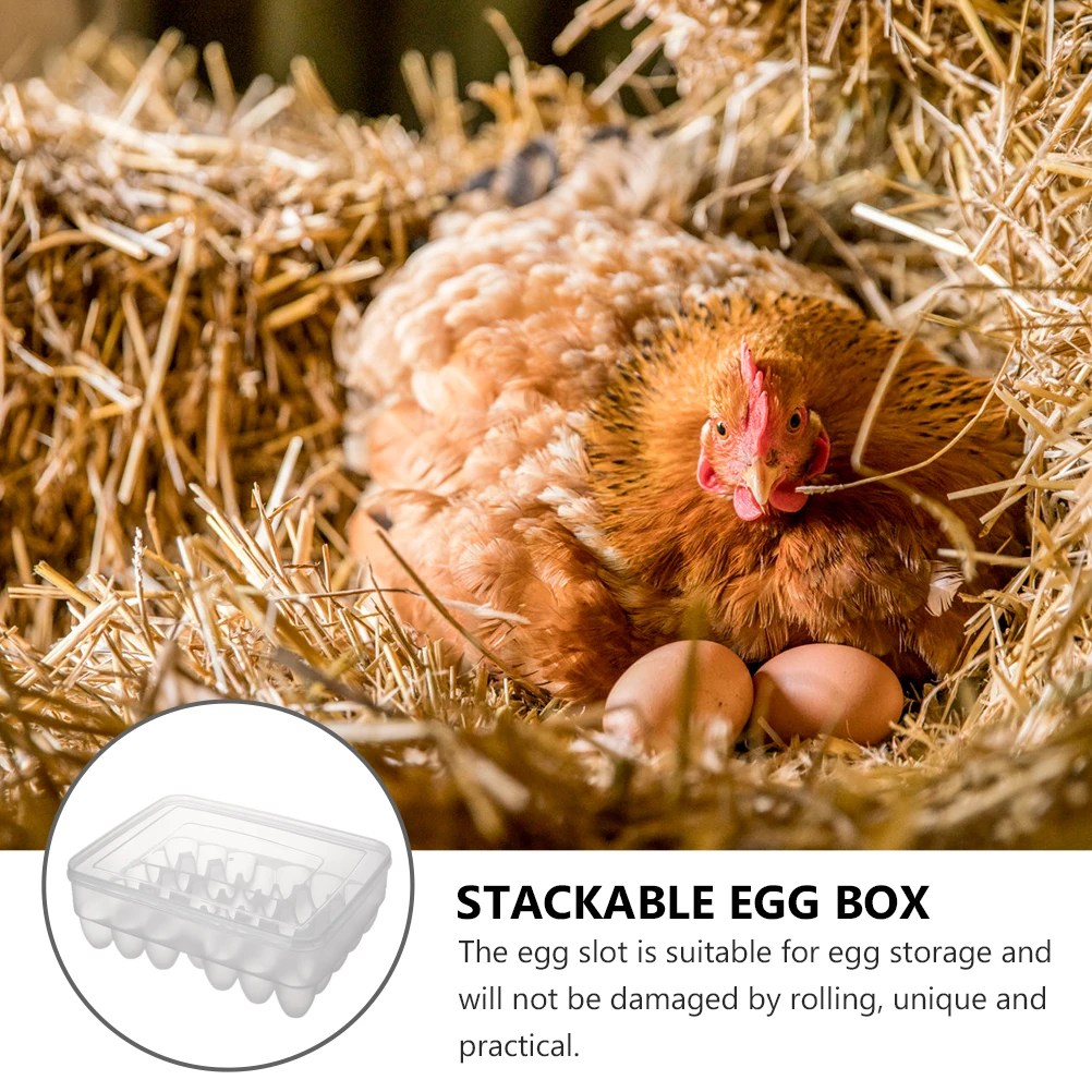 

Plastic Egg Storage Container High grade Material Large Capacity Dust proof Corrosion resistant Stackable ganizer Box