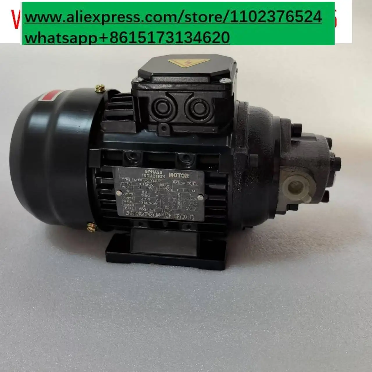 Small ROP-12A gear oil pump motor 120W circulating oil pumping lubrication cooling cycloidal triangle pump 1/8HP