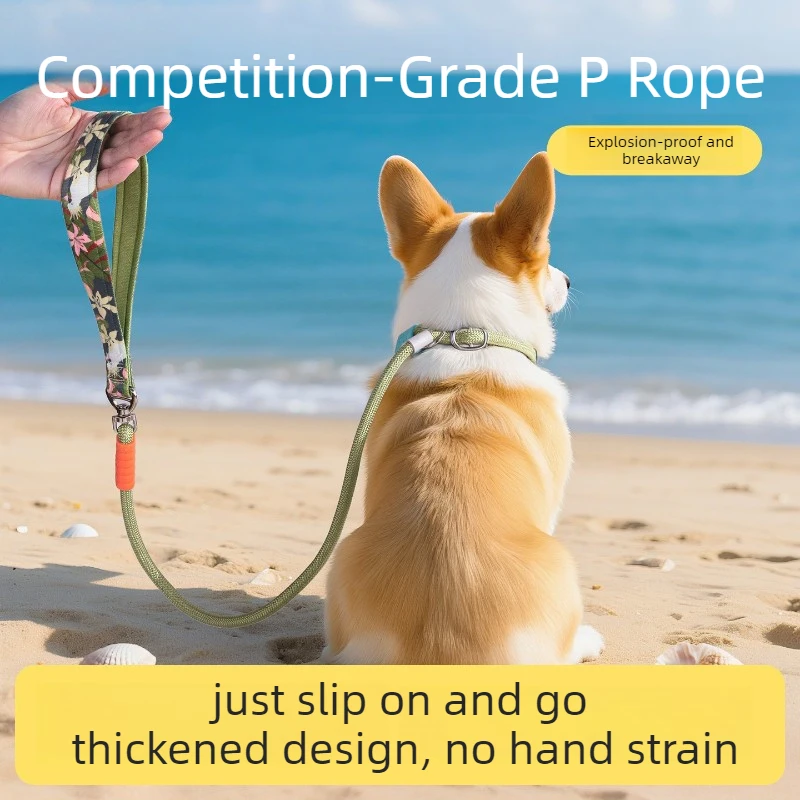 Dog P Rope Leash Anti-Pull Walking Lead No Tangle Training Leash for Small Medium Large Dogs Pet Supplies