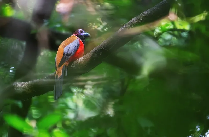 

BETAFPV LiteRadio 3 8CH Transmitter - ELRS/Frsky, Beginner, for FPV Drone