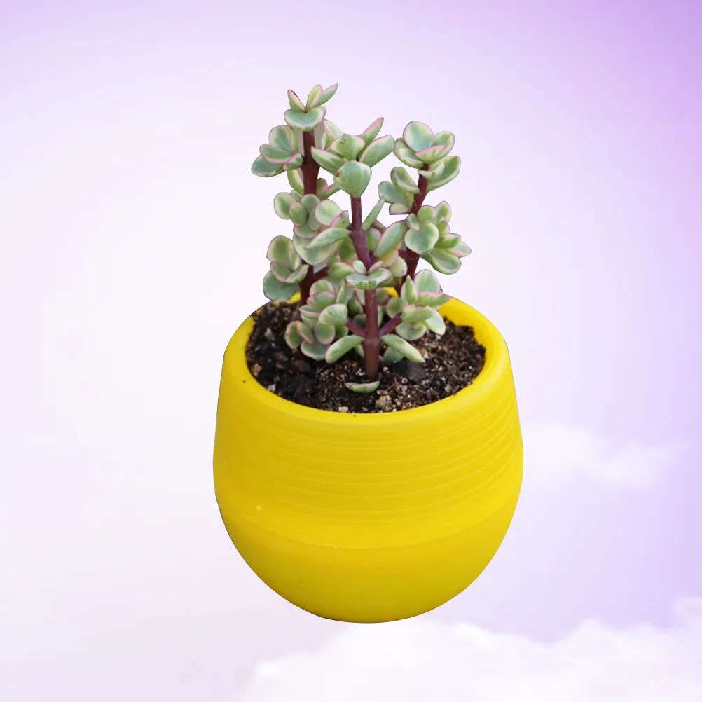 Mini Round Resin Succulent Flower Pot Solid Color Planter Yellow Home Office Decor Small Cactus Plant Pot Succulent Plant Pots
