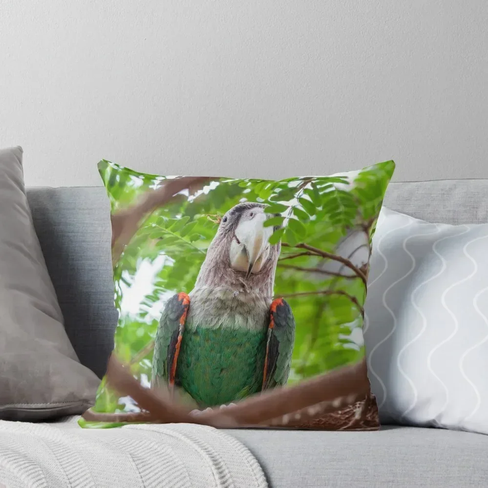 

Cape parrot exotic bird sitting on the tree Throw Pillow Marble Cushion Cover Elastic Cover For Sofa Cushions pillow