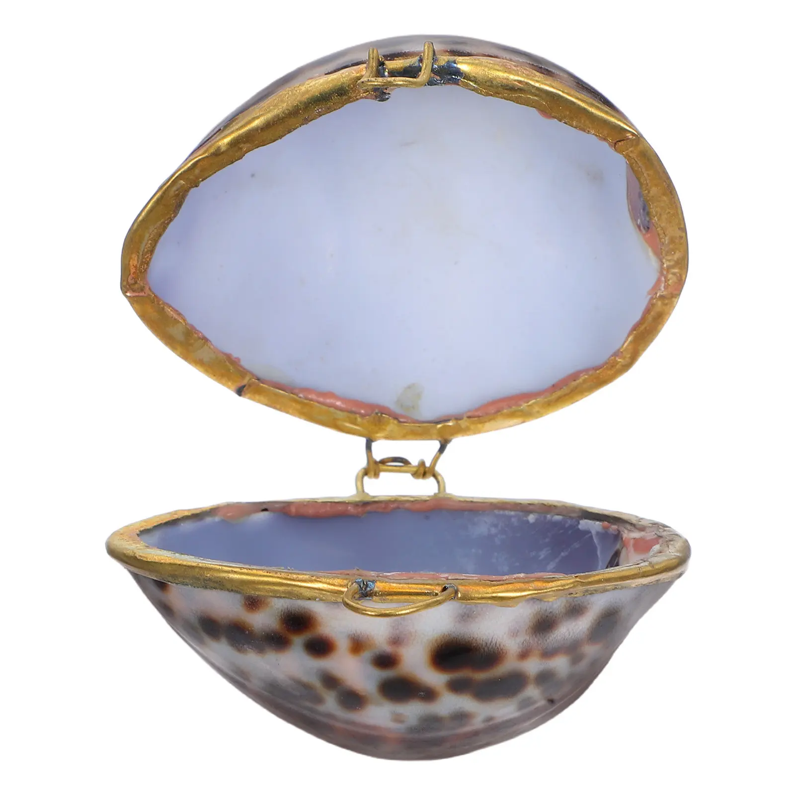 

1Pcs Shell Pattern Jewelry Box Elegant Colorful Finish Ring Necklace Earring Storage Case Ideal for Wedding Proposal Birthday