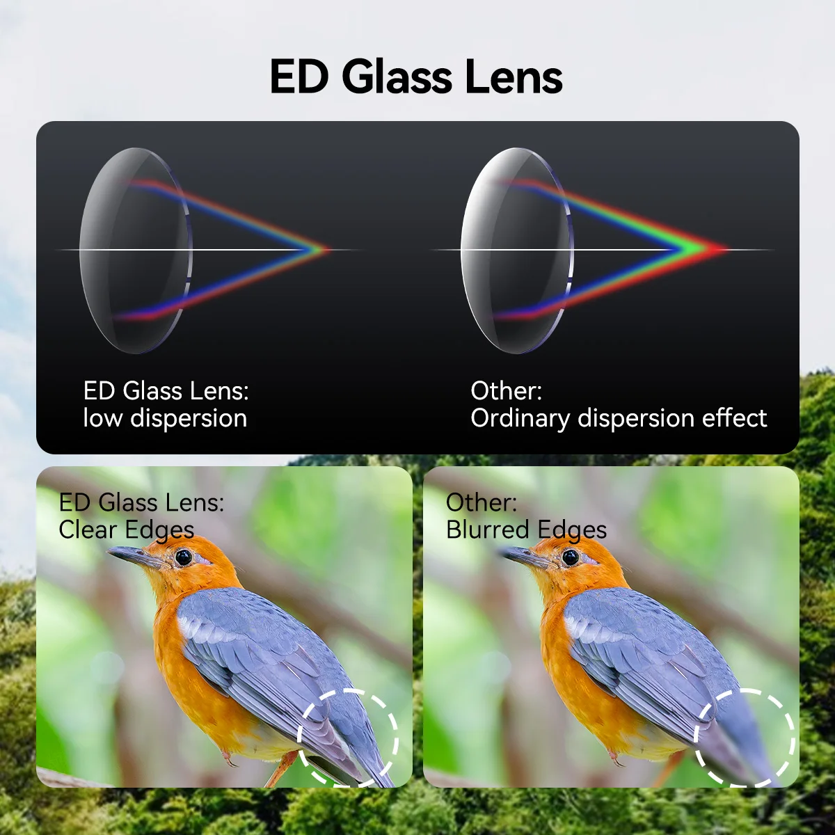 Thumbnail 3 - #70 Best Binocular & Monocular Accessories to Buy In 2026