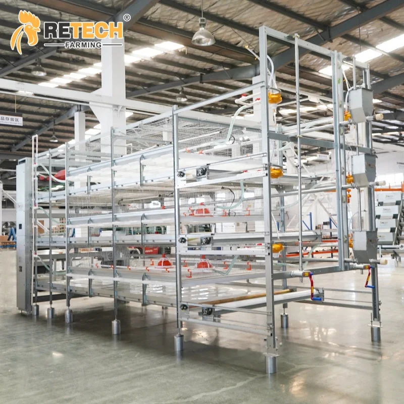 

Poultry Broiler Farm Automatic Broiler Cage Chicken Cages in Philippines