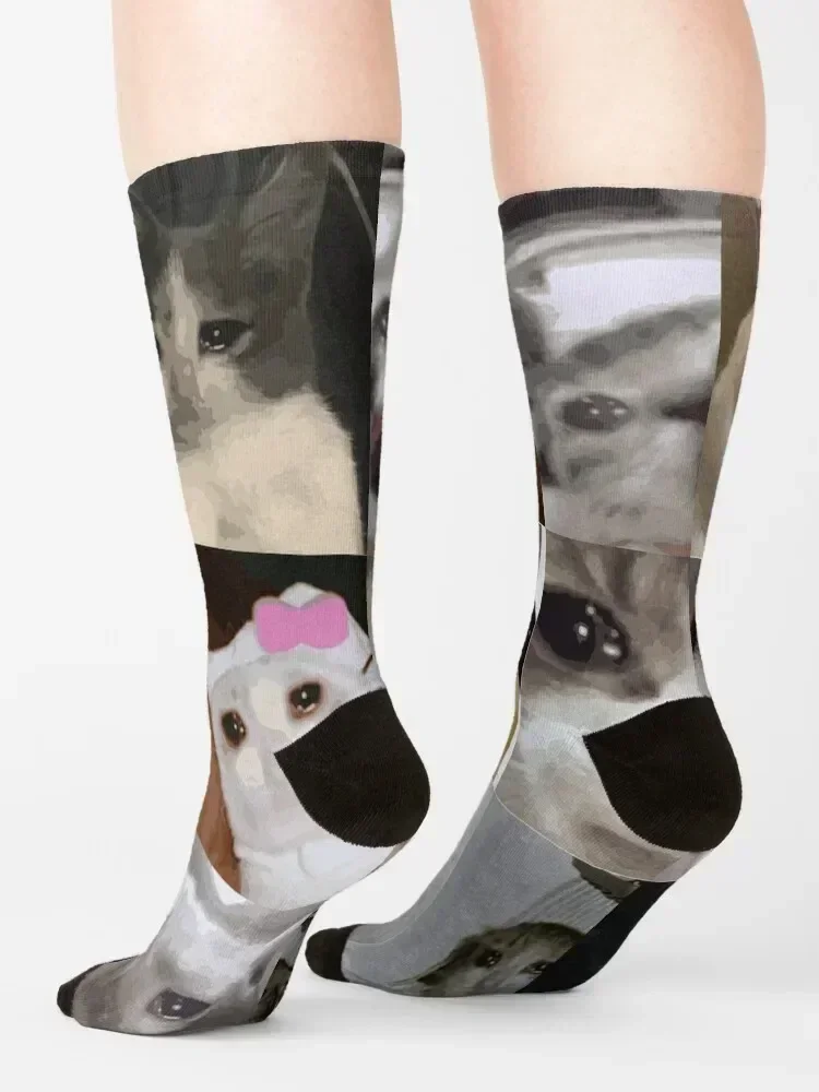Crying Cat Socks man custom sports bright garter Crossfit Men Socks Women's
