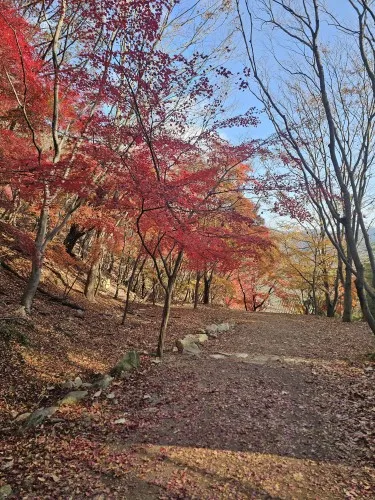 구매후기