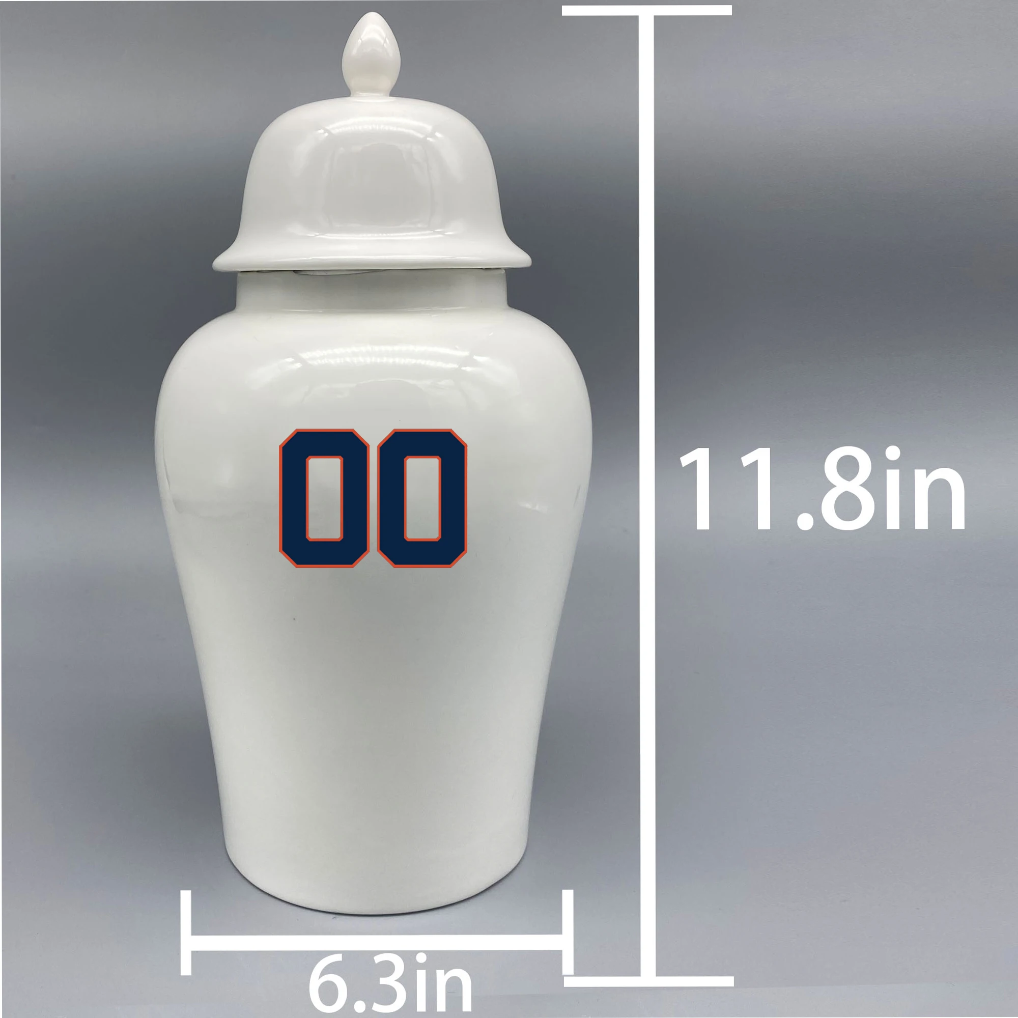 Large Urn for Houston Astros-themed Logo Urn.Please send me the customize information-name/date and number on the urn