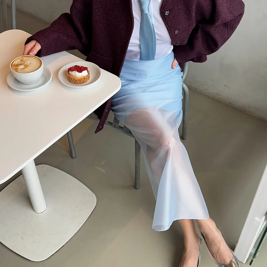 Linad Elegant Patchwork Straight Long Skirts Summer Sexy See Through Skirts For Women Street Chic Chiffon Slim Skirt Female 2025