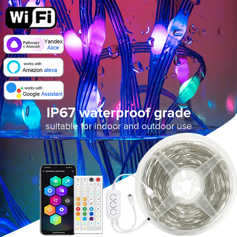 

RGBIC LED String WS2812b Bluetooth USB Smart Retome Control Dream Color Outdoor Lights Waterproof Garland Christmas Fairy Lights