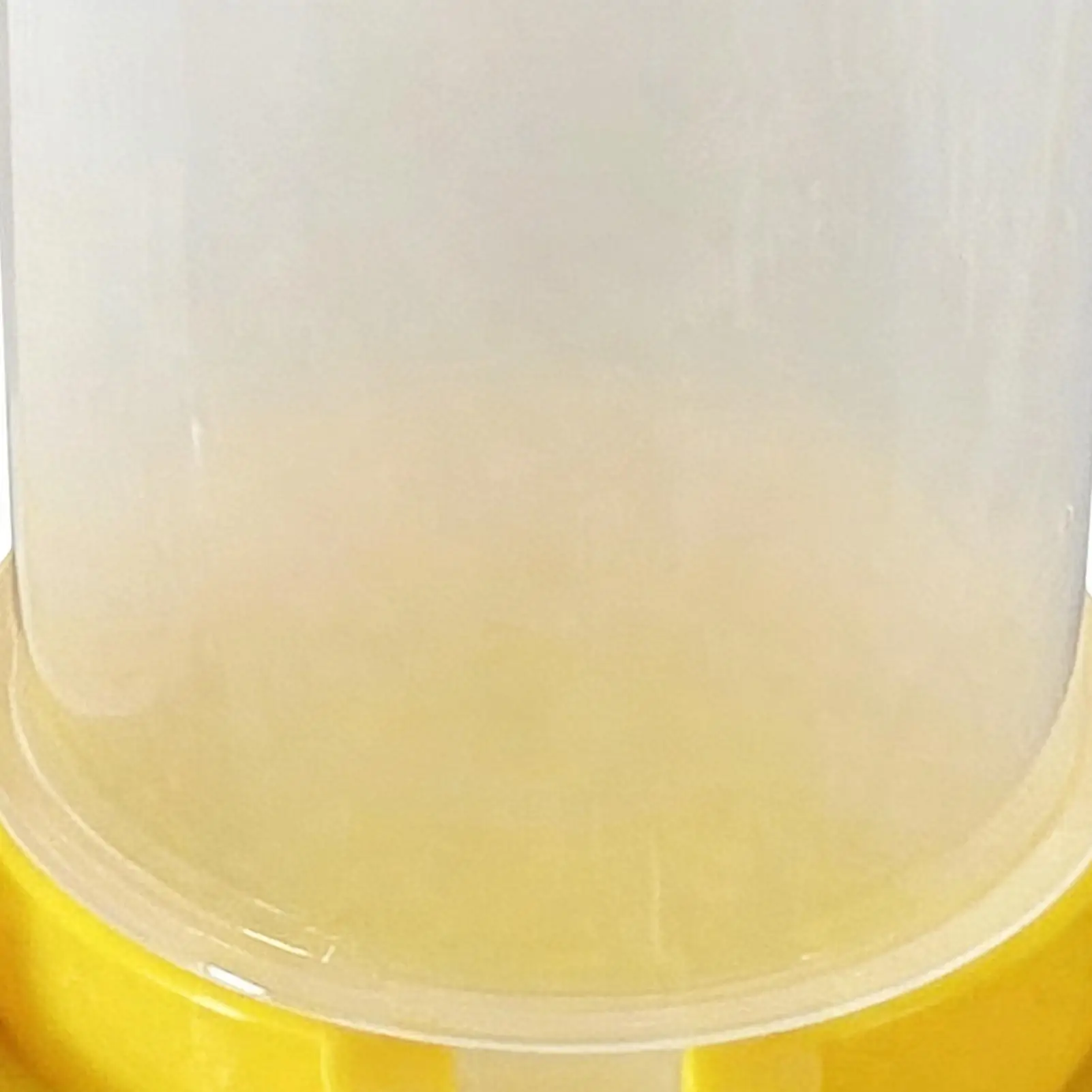 Geflügelfutter- und Wasserspender, Auslaufsicher, Große Kapazität, Transparenter Futter- und Wasserbehälter für Küken, Wachteln und Bienen – Detail 9