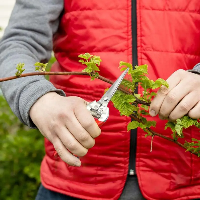 

Garden Scissors Stainless Steel Plant Scissors Garden Snips Plant Trimming Pruners For Fruit Trees Grapes Vines Oranges