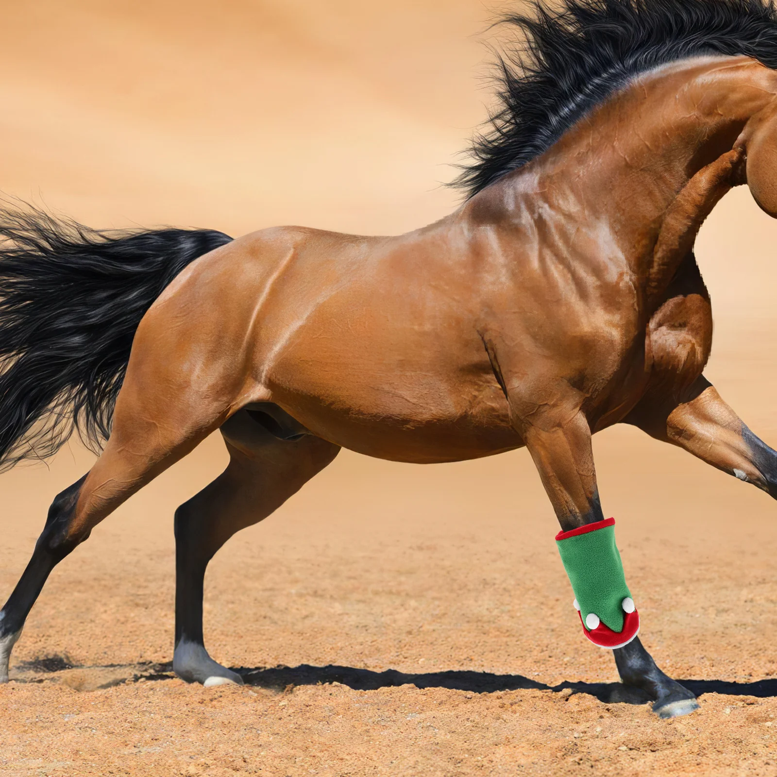 مجموعة واحدة من أزياء تزيين الحصان ذات طابع العطلة مع قبعة يلتف الساق، موكب احتفالي، حفلة التقاط الصور، مريحة للتنفس