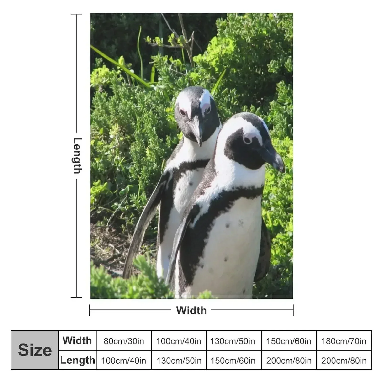 Two African Penguins Strolling Boulders Beach, Cape Town, South Africa Throw Blanket manga Hair Blankets