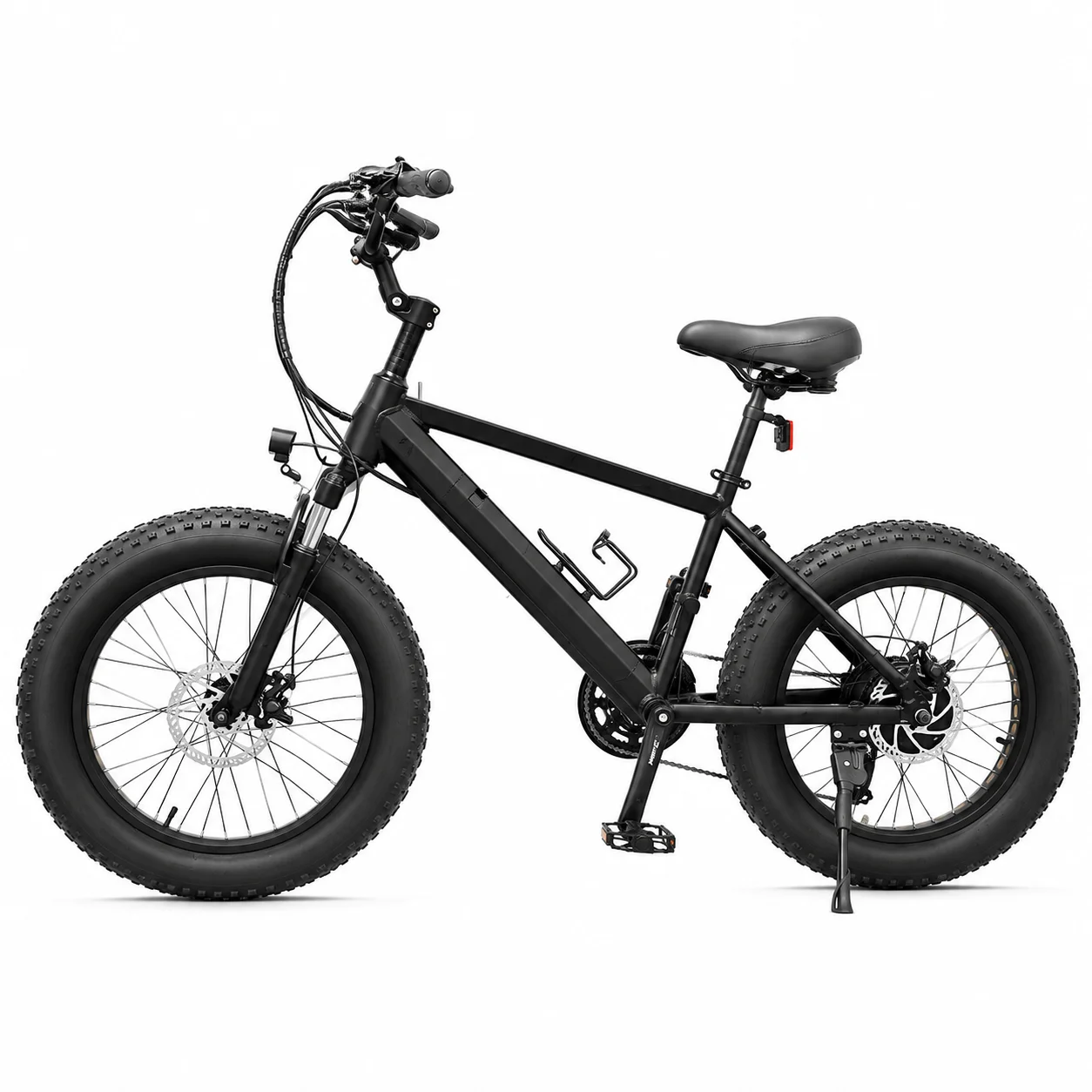 20 Inch Folding Fat Tire Electric Bike 36V 250W Adult E-Bike with Removable Battery 21 Speed Disc Brake Front Suspension