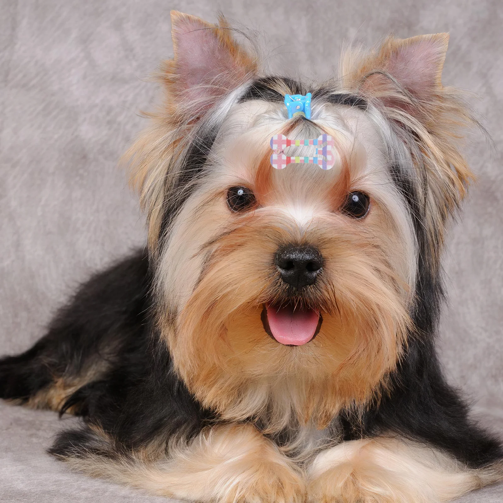 

40Pcs Dog Bone Hair Clips Small Cute Pet Hair Accessories Lightweight Grooming Clips for Puppies Cats Stylish Hairpin for Dogs