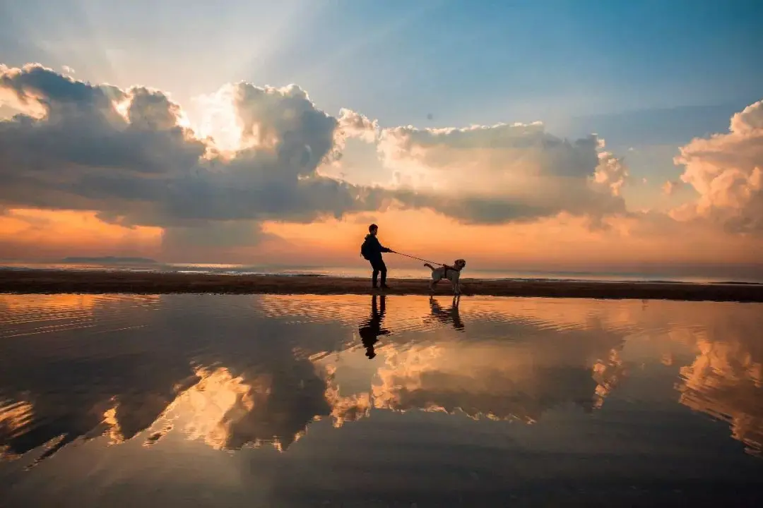 

4Pcs1Pcs 1507 Motor sin escobillas 2550KV 3650KV 3-6S Lipo para Dron de carreras de control remoto de 3 pulgadas Freestyle FPV Q