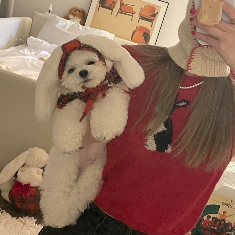 Disfraz de Cosplay de Navidad para mascotas, perro con falda de lazo grande, vestido para cachorros pequeños y medianos, ropa para mascotas, Otoño e Invierno