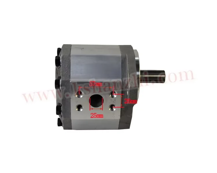 

Forklift Parts CBQ-F550-AFHL/R450-601300-000 Hydraulic Pump For CPCD40~50 (R Series)/4105