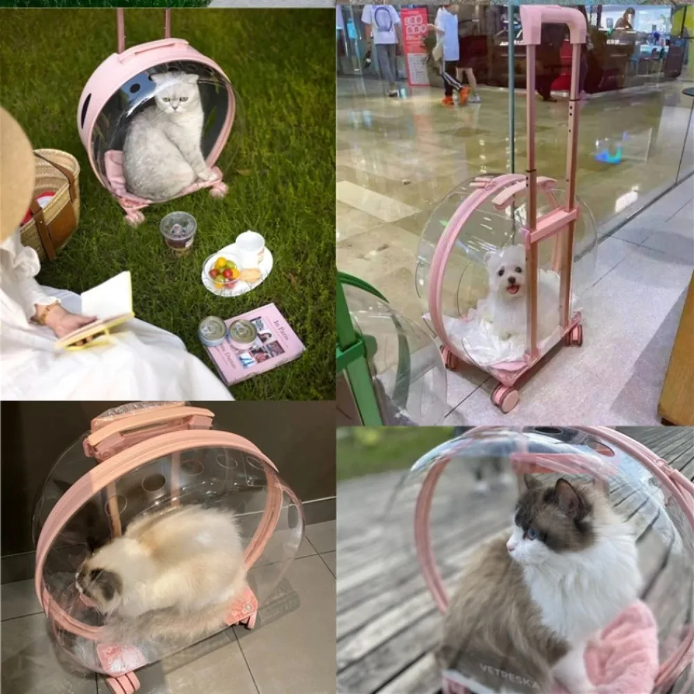 Pet Trolley Suitcase Carrier Transparent Beauty Case Trolley Professiona Portable Durable Carrier for Cats and Small Dogs