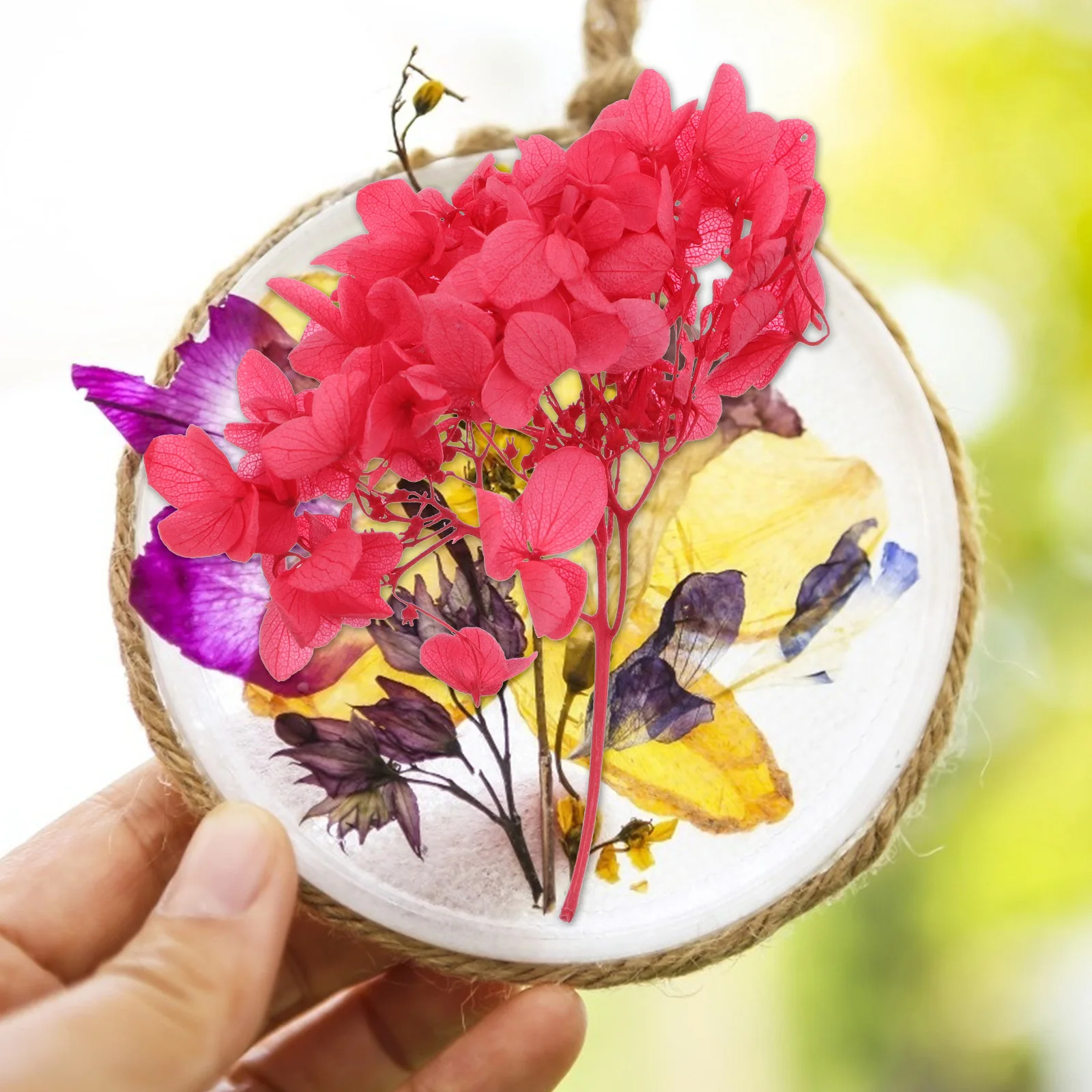 

1 Box Handmade Immortal Flower Material Real Dried Hydrangea Flowers Natural DIY Decoration Real Dried Hydrangea Flowers