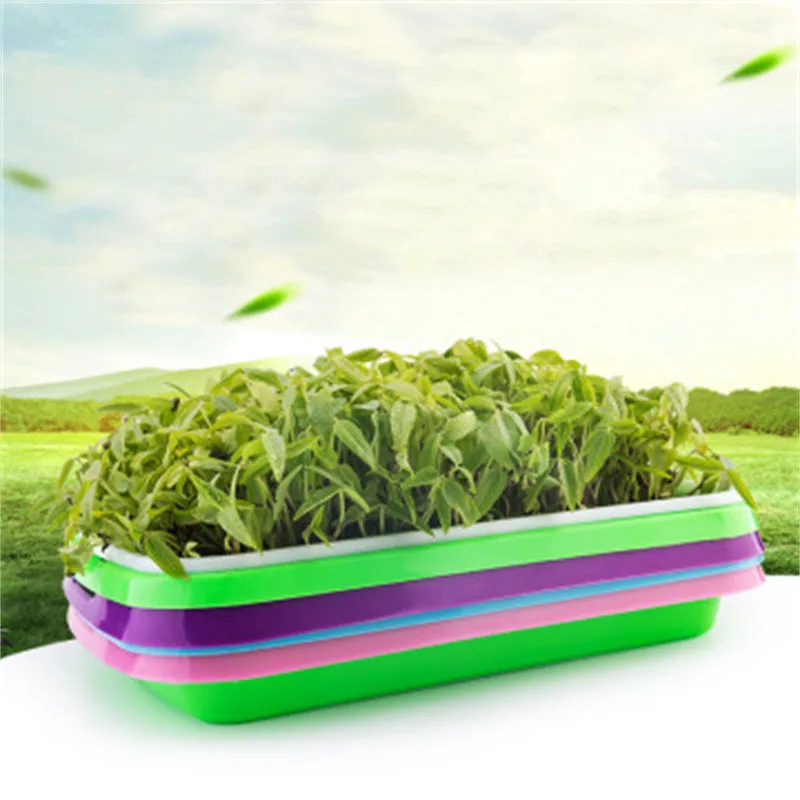 1pc Seed Sprouter Tray Soil-Free Big Capacity Microgreens Hydroponic Tray 33.7cm X 24.5cm X4.2cm for Sprouts Gardening Supplies