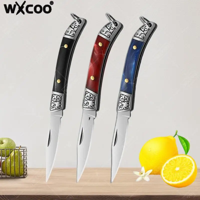 

WXCOO Stainless Steel Mini Pocket Fruit Knife with Non-slip Handle Multifunctional Folding Fruit Peeling Kitchen Knife