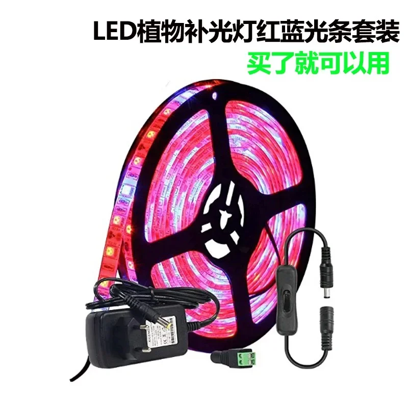 Plant growth light succulent fill light coloring seedling raising household indoor 12V red and blue light bar set