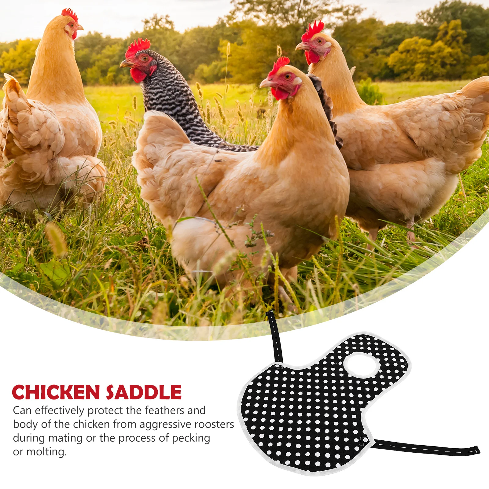

1Pcs Hen Saddle Apron with Adjustable Straps Chicken Protector for Breeding Season Safe Molting and Pecking Protection