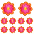 PE11629CT