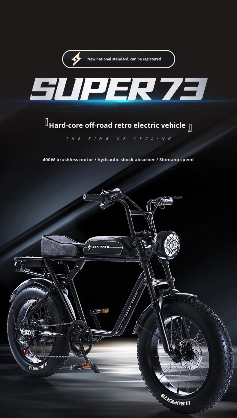 

Emtb Moped Retro Electric Bicycle Hybrid Bike E-Bike Road Dirt E Bike Ebike Mountain Fat Tire Electric Bike
