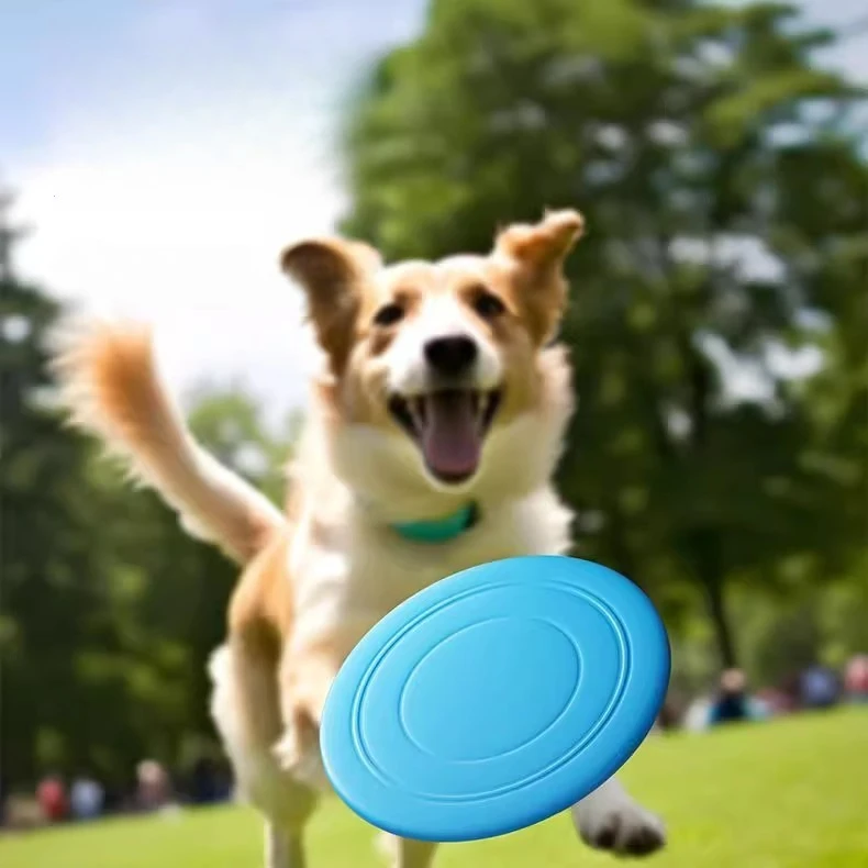 #43 Dog Training Price Drop Alerts