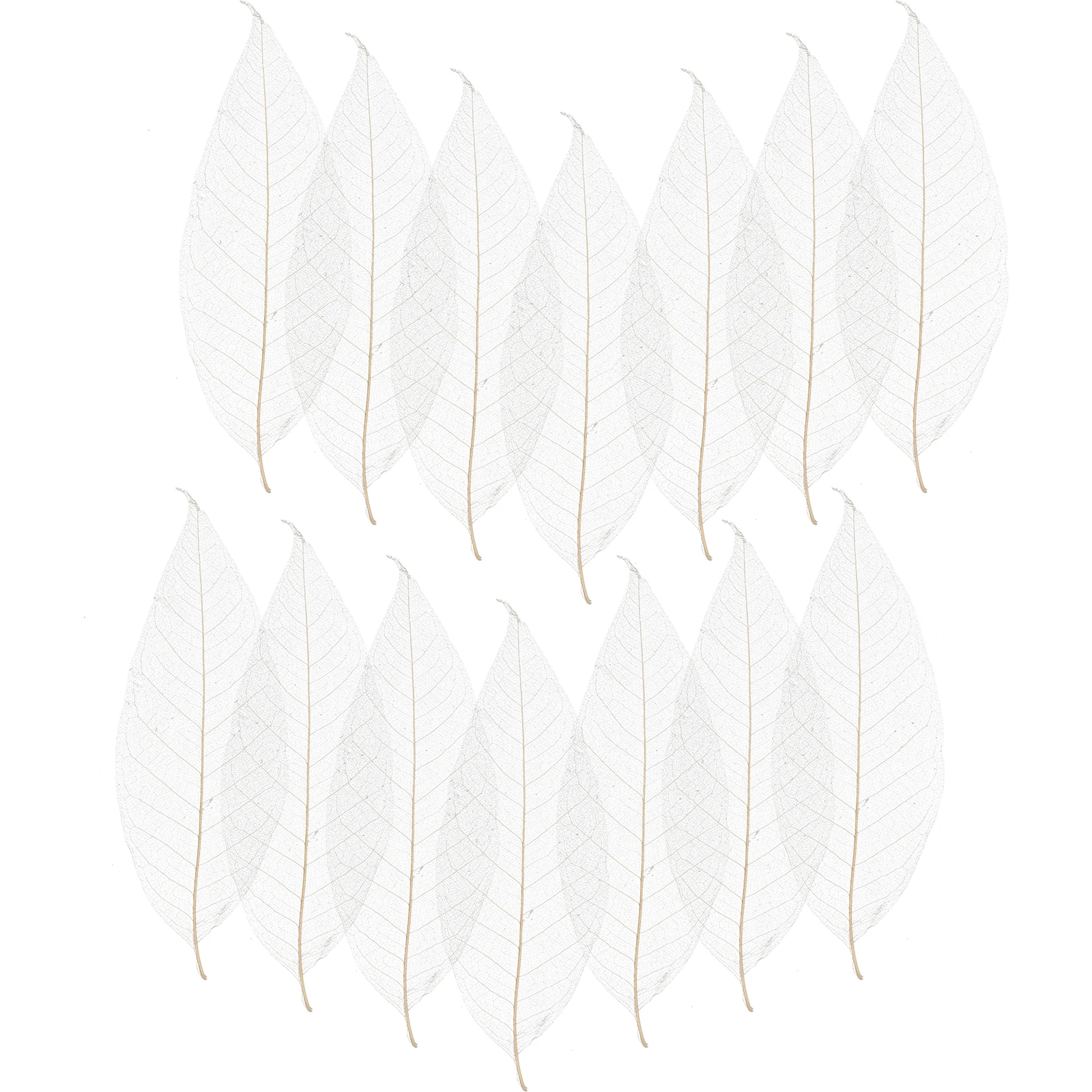

100 Pcs Leaf Vein Specimens Natural Dried Craft Project Materials Decoration Leaves DIY Supplies Tree Leaf Bookmark Photo Albums