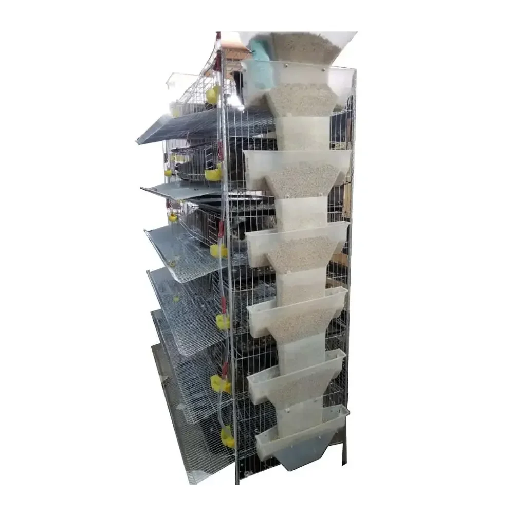 Vertical Quail Cage 300-400 Quail Capacity Encrypted Galvanised Ladder Type Brooder Cage Automatic Feeding Egg Collector