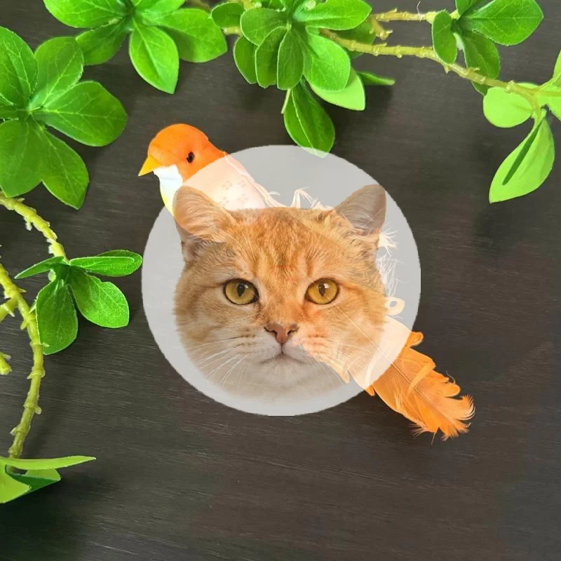 Popular 1Pc Random Simulation Swallow Tail Bird Clip Handmade Bird Plant-decorated Artificial Bird Handicrafts For Ornament