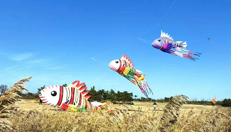 free shipping 8m new fish kite large kite juego basta outdoor toys flying dragon linha de pipa peonzas con cuerda soft kite fun