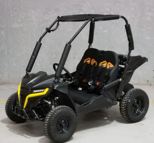 

2023 Electric Go Kart Buggy For Kids