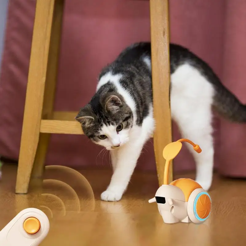 

Interactive Cat Toys For Indoor Cats Electric Kitten Toys Smart Cat Teaser Moving Cat Toy For Indoor Entertainment Interaction