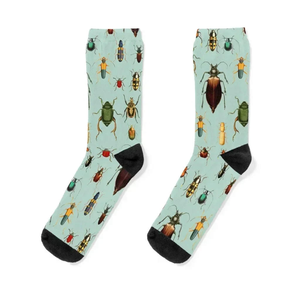 Antique pattern - Beetles and Bugs Socks men cotton high quality crazy luxe moving stockings Women's Socks Men's