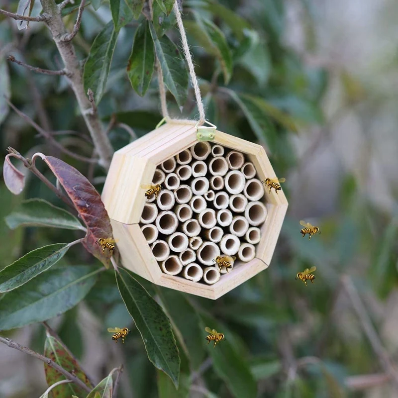 

2Pack Natural Bamboo Bee Hive Insect Hotels Mason Bee House Tubes For Attracts Peaceful Bee Pollinators For The Garden