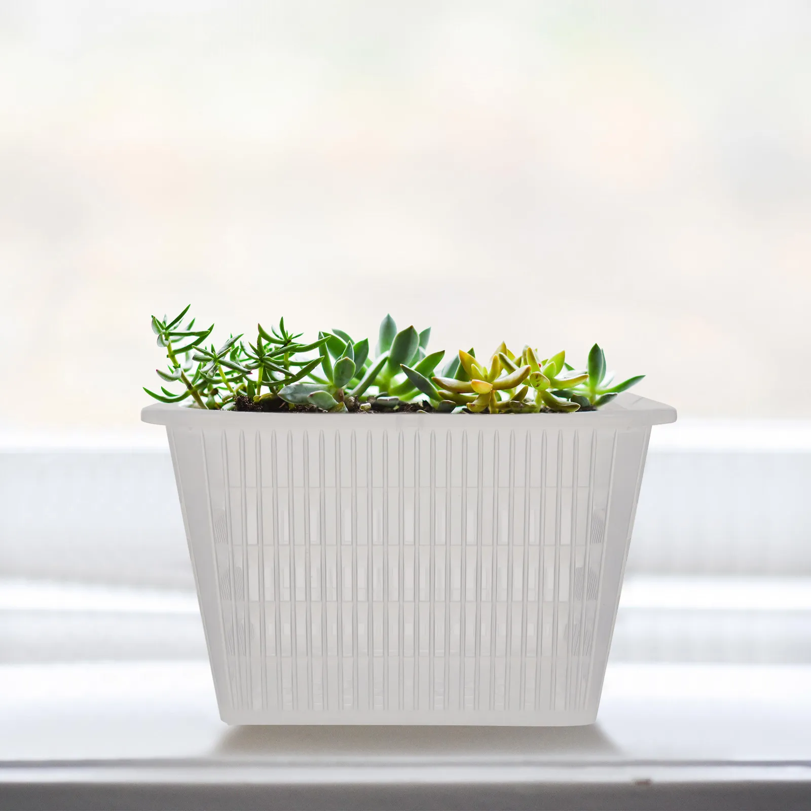 5Pcs Orchid Planter Pots Plastic Breathable Planters Thickened Plastic Pots with Holes for Flowers Plants Air