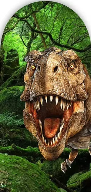 Mehofond مخصص 2-الجانب الغابات ديناصور موضوع الأولاد حفلة عيد ميلاد استحمام الطفل يغطي كيارا قوس خلفية ديكور خلفية الصورة