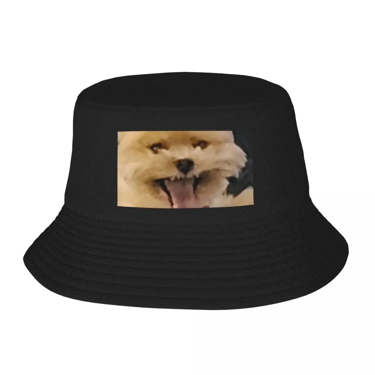 Stuntman merch (abby jimenez) Bucket Hat Big Size Hat dad hat Golf Wear Sun For Children Male Women's