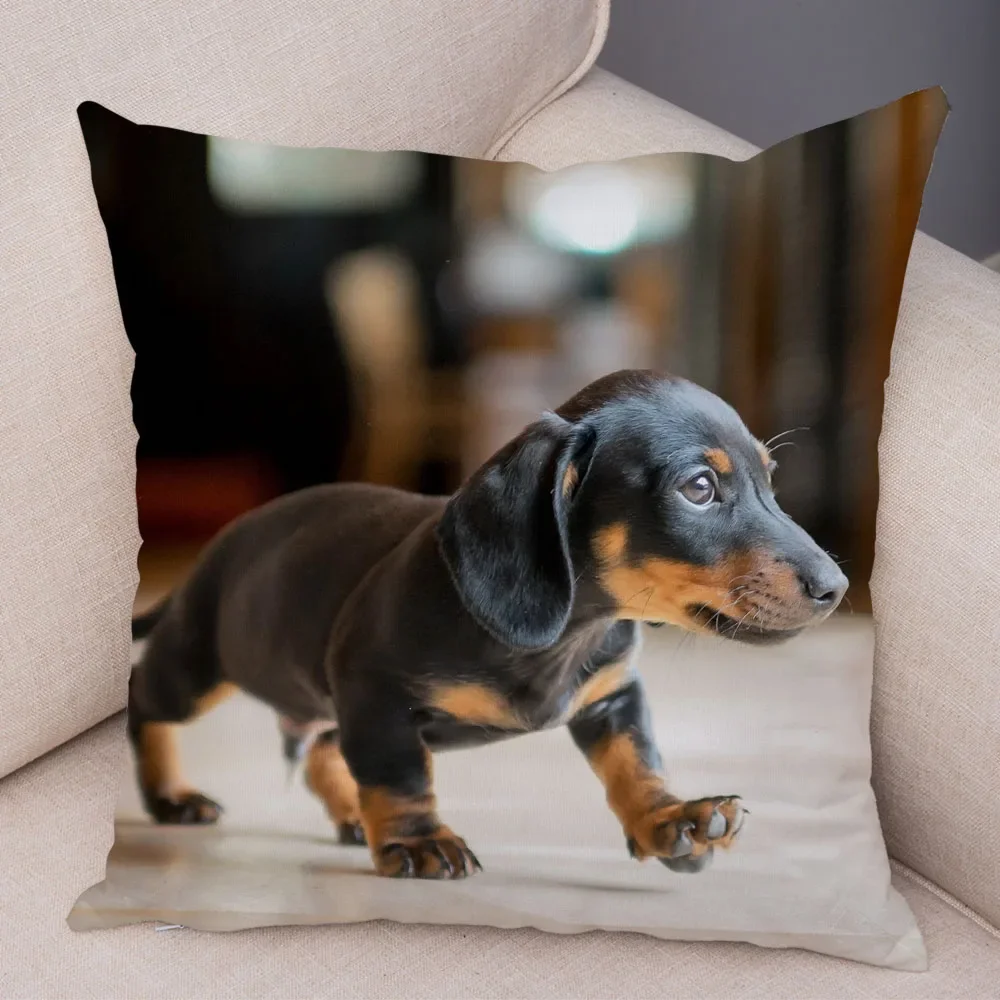 Fotografia 6: Mini capa de almofada de cachorro dachshund com estampa de pelúcia curta para decoração de sala de estar capa de almofada decorativa