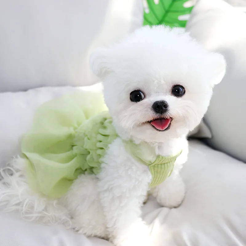 Fairy Dog Clothing Summer Thin Teddy Bear Pomeranian Cat Small Dog Pet Princess Dress Summer